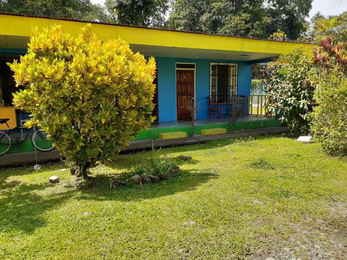 Rooms Palmeras Cahuita Eksteriør billede