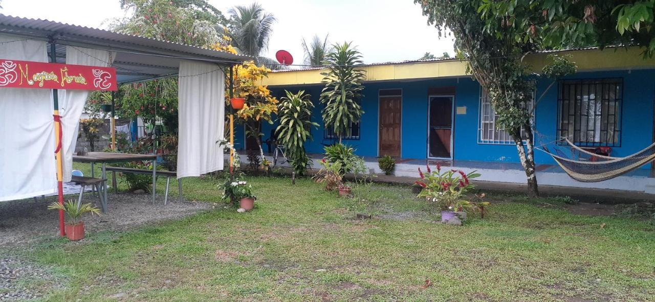 Rooms Palmeras Cahuita Eksteriør billede