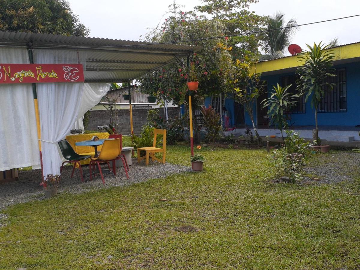 Rooms Palmeras Cahuita Eksteriør billede