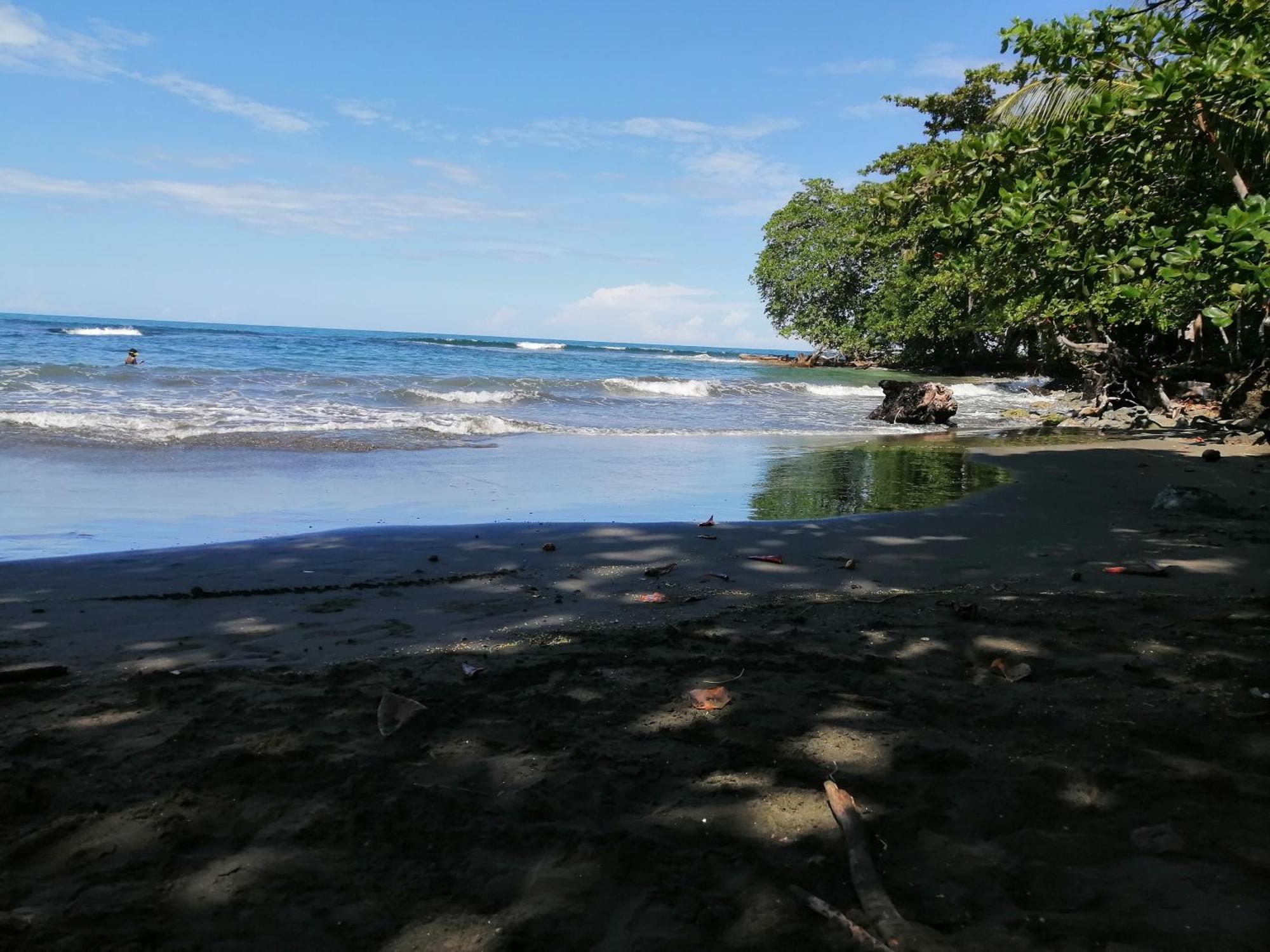 Rooms Palmeras Cahuita Eksteriør billede