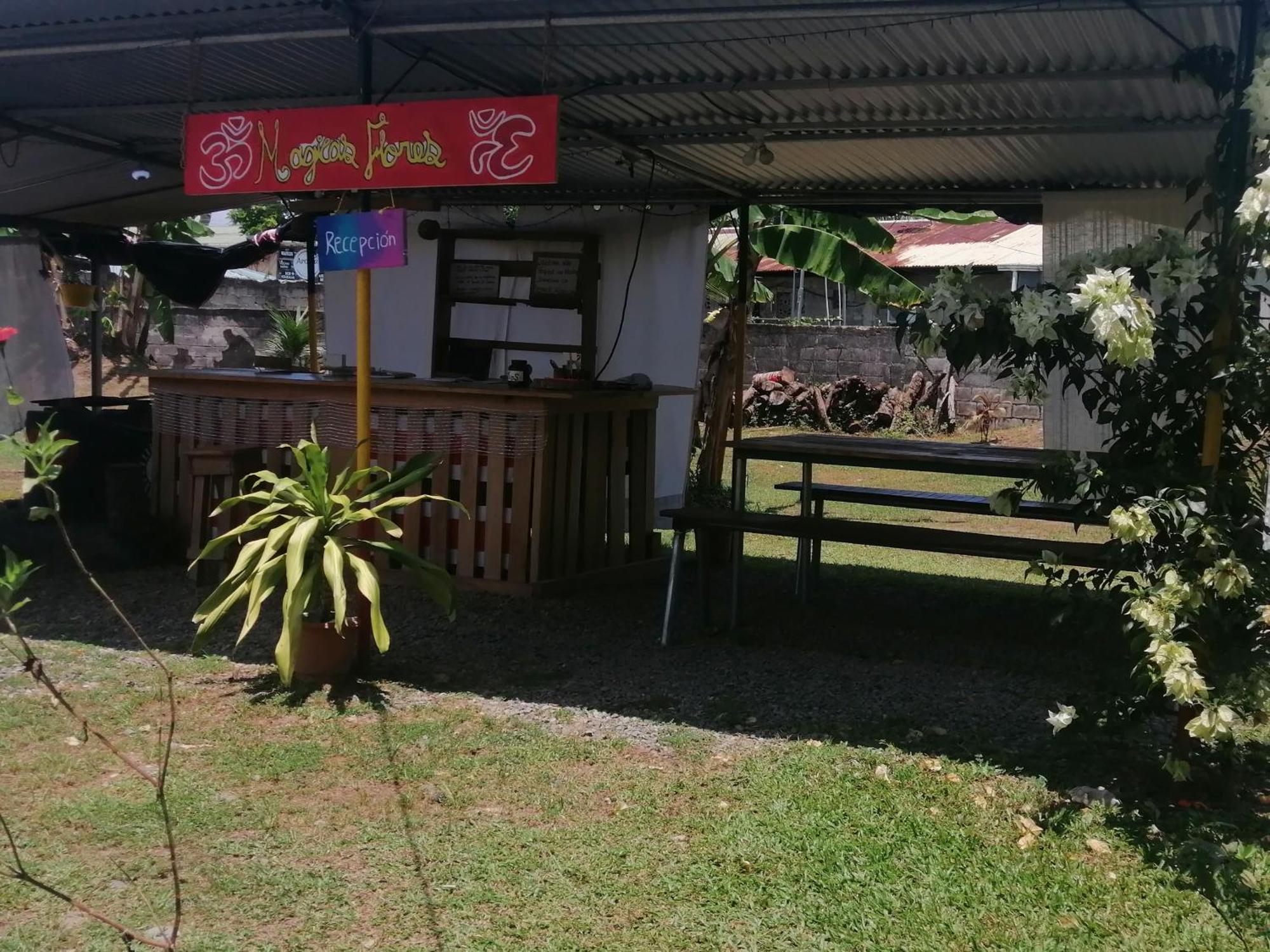 Rooms Palmeras Cahuita Eksteriør billede